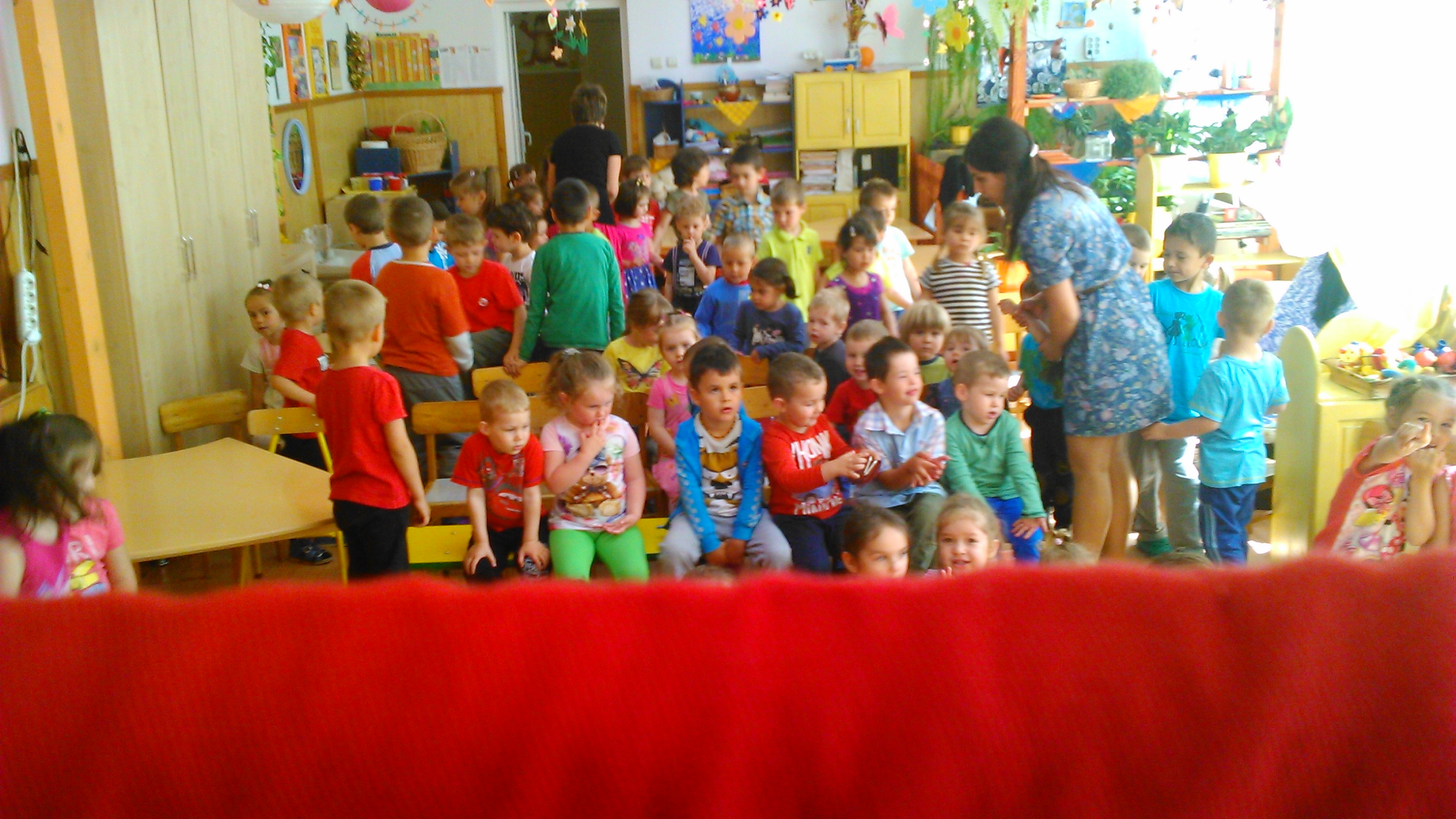 Pufi Csíkszentmiklóson, 2016 tavasz